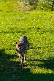 Parc animalier de la Barben