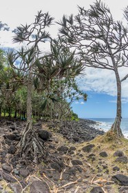 Ile de La Réunion