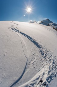 Auron