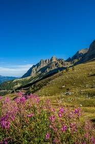 Col des Champs
