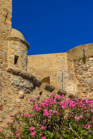 Algajola