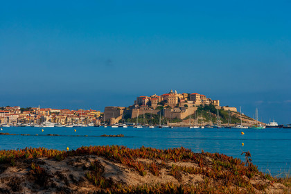 Calvi
