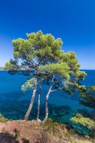La Seyne-sur-Mer