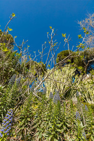 Roquebrune-Cap-Martin