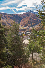 Auron