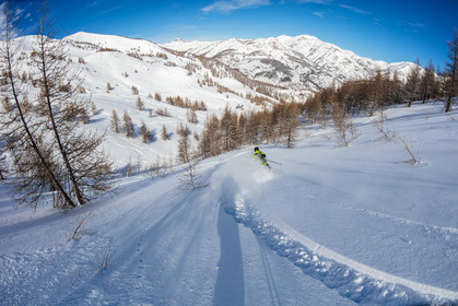 Freeride