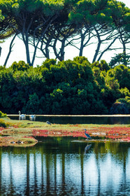 Lérins, Sainte-Marguerite