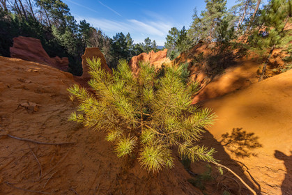 Roussillon