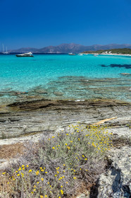 Saleccia