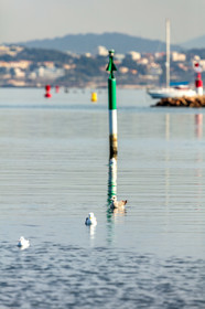 La Seyne-sur-Mer