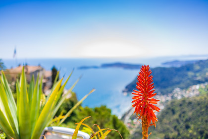 Eze Jardin exotique