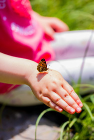 France, Alpes-de-Haute-Provence, Val d'Allos