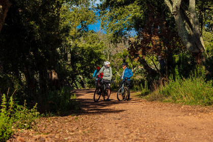 Bikingman