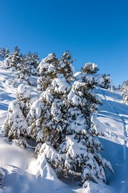 Gréolières-les-Neiges