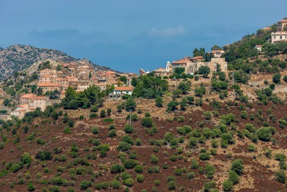 Belgodère