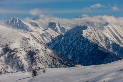 Auron