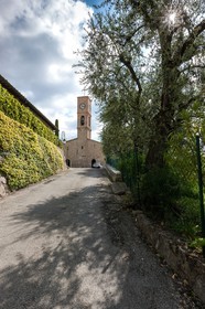 Opio