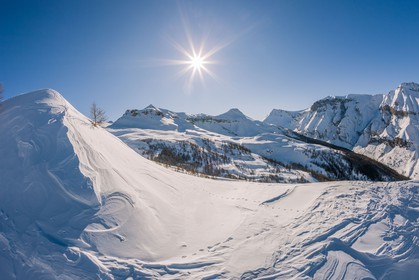 Auron