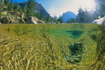 Restonica