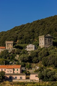 Baragogna