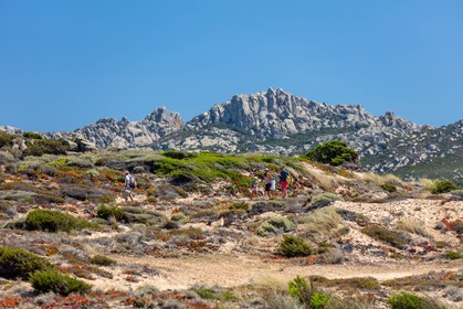Tonnara