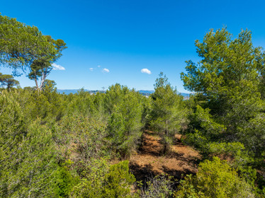 Lérins Sainte-Marguerite 2024