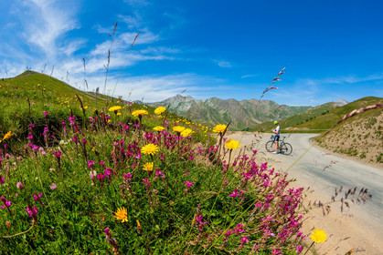 Col d'Allos