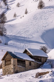 Auron