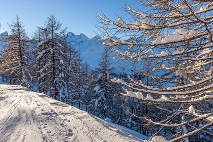 La Foux d'Allos