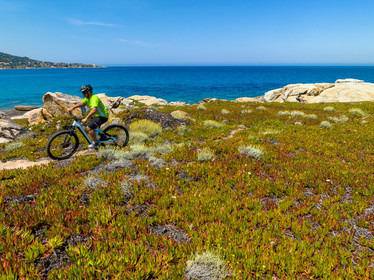 Vtt