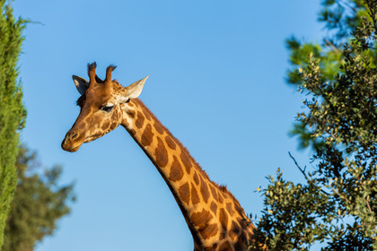 Parc animalier de la Barben