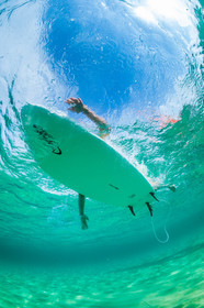 Surf