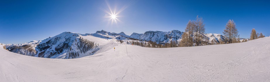 Auron