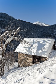 Auron
