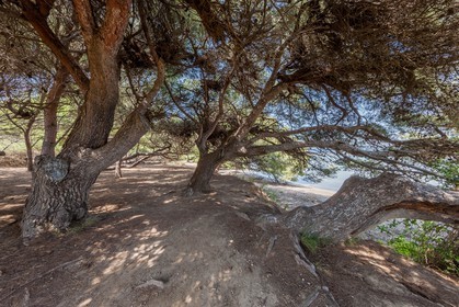 Six-Fours-les-Plages