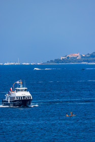 PAL318594.jpg