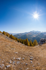 Auron