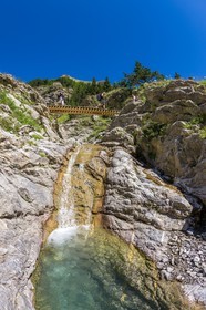 Allos