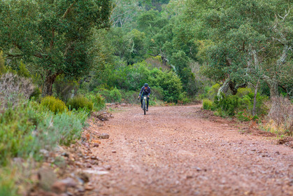 Bikingman