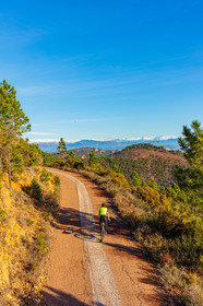 BikingMan