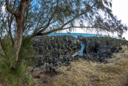 Ile de La Réunion