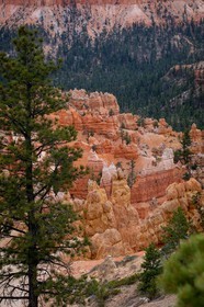 Bryce Canyon