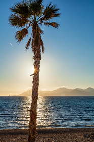Cannes