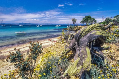 Porquerolles