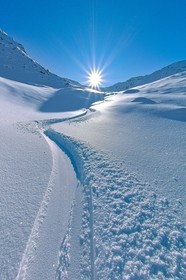 Trace dans la neige
