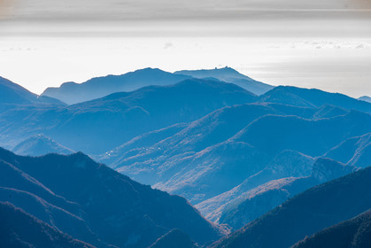 Turini