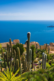 Eze Jardin exotique