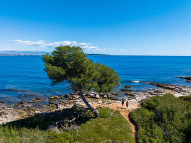 Lérins Sainte-Marguerite 2024