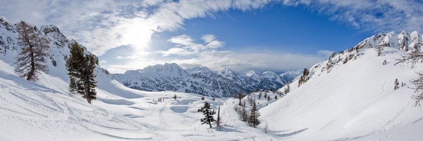 Isola 2000