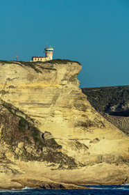 Bonifacio